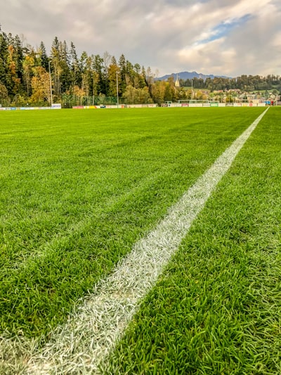 احتمالات1xBetدليلشاملللرهاناتالذكيةوالناجحة