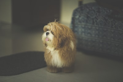 ملخصاتمسلسلاتكوريةحلوةلاتفوتمشاهدتها