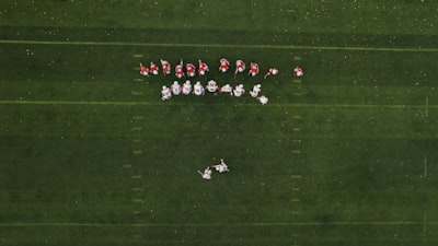 نتائج مباريات الدوري المصري اليوم الانتحديثات حية وأهم الأحداث